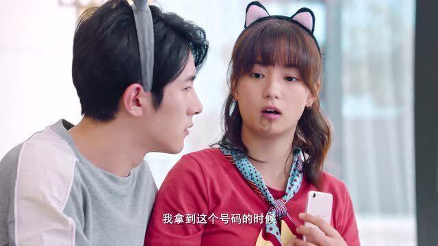 小猪仔要回家